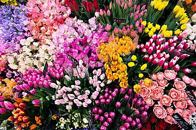 育碧发布《波斯王子：失落的王冠》神话世界预告