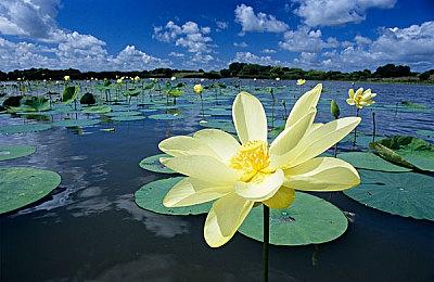 Epic喜加二 《死亡循环》《奥咕和秘密森林》免费领取